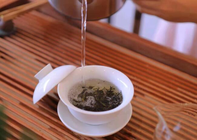 澜沧古茶·休闲茶馆